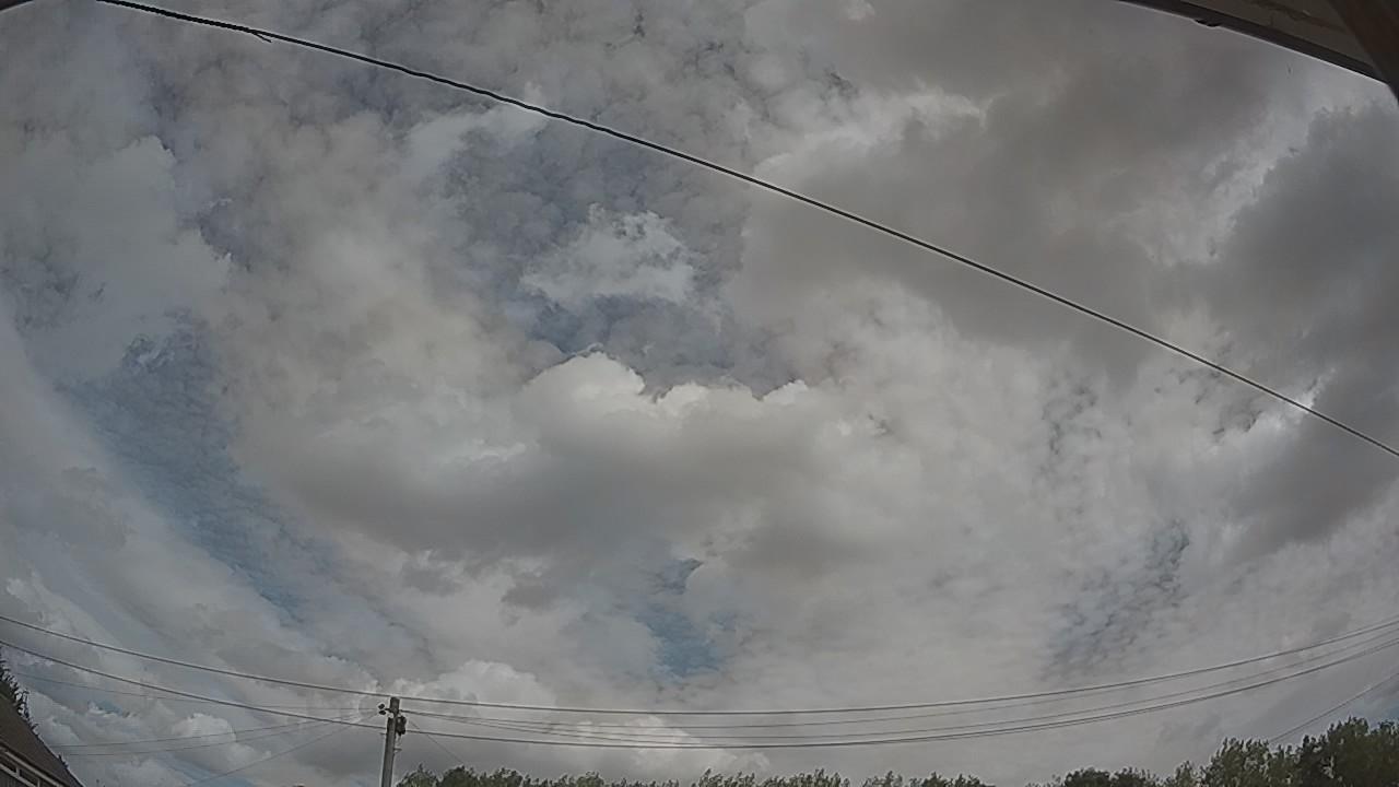 20260809_113657_cam2.jpg