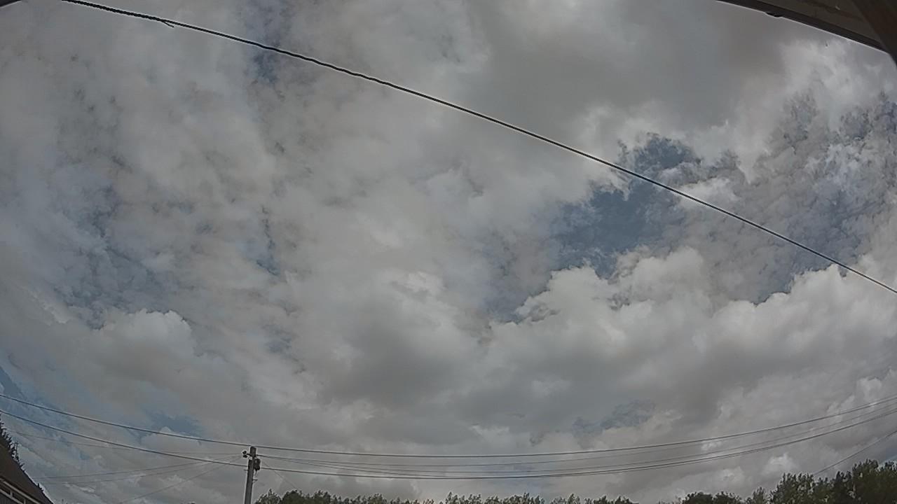 20260809_114736_cam2.jpg