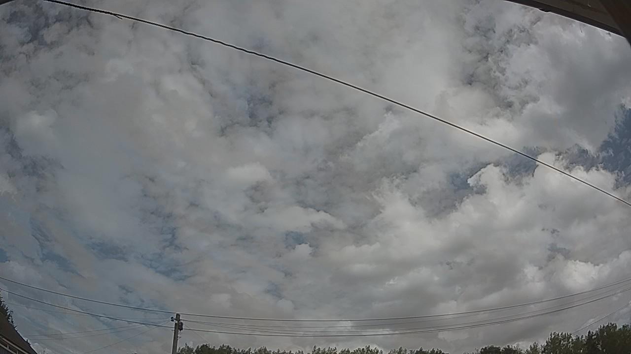 20260809_115109_cam2.jpg