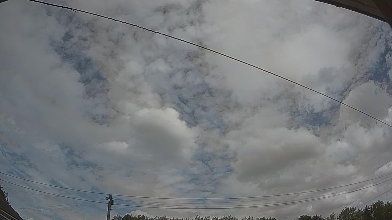 20260809_115442_cam2.jpg