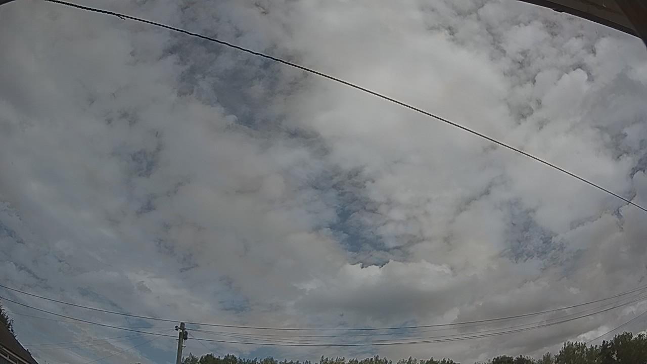 20260809_115815_cam2.jpg