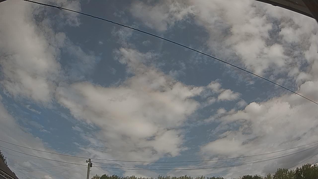 20260809_121226_cam2.jpg