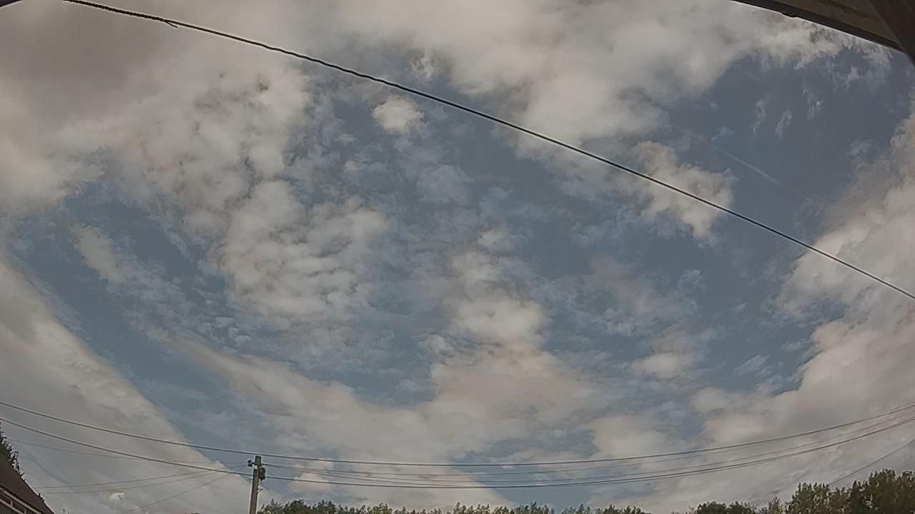 20260809_121932_cam2.jpg