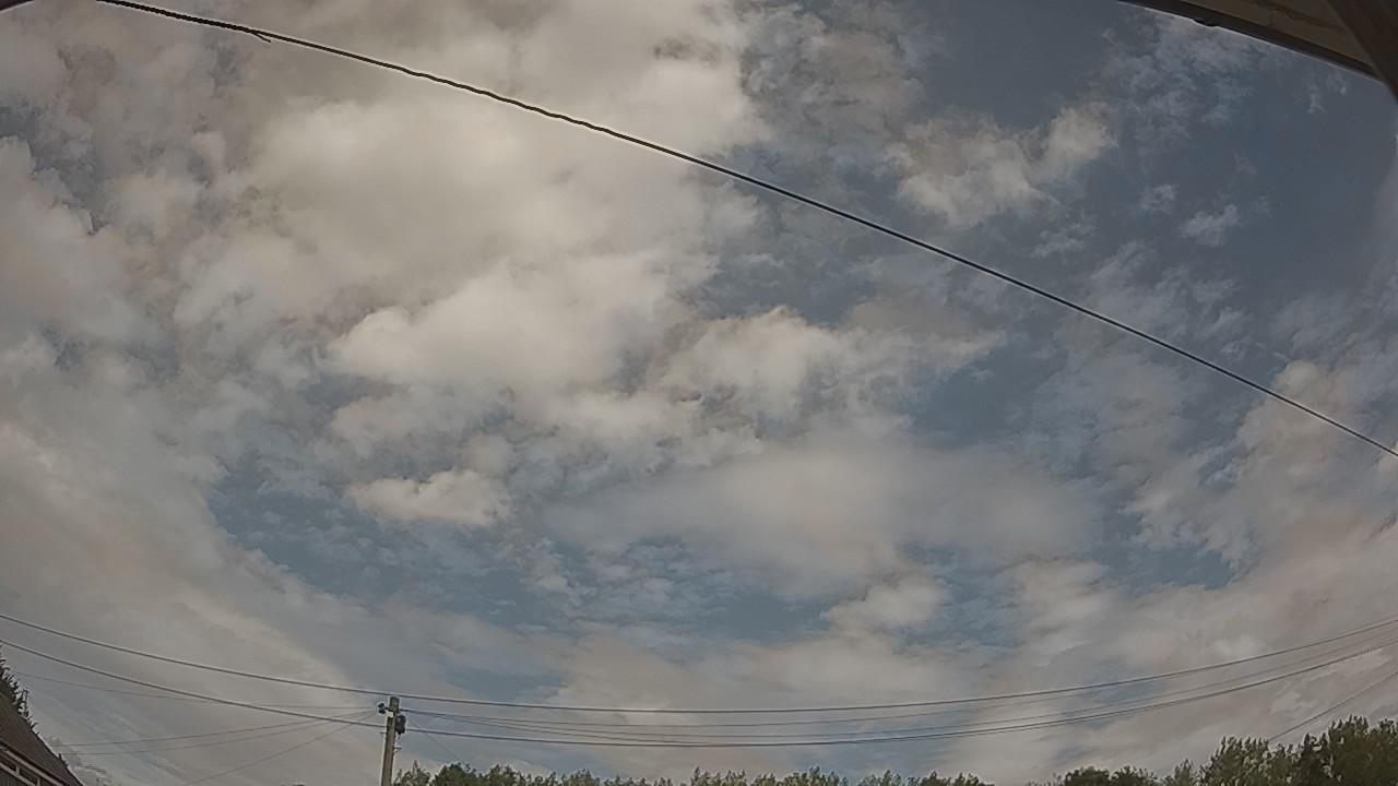 20260809_122304_cam2.jpg