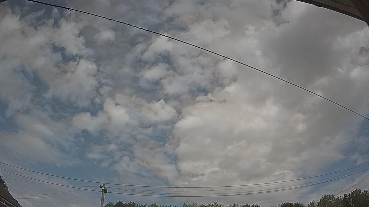 20260809_123715_cam2.jpg