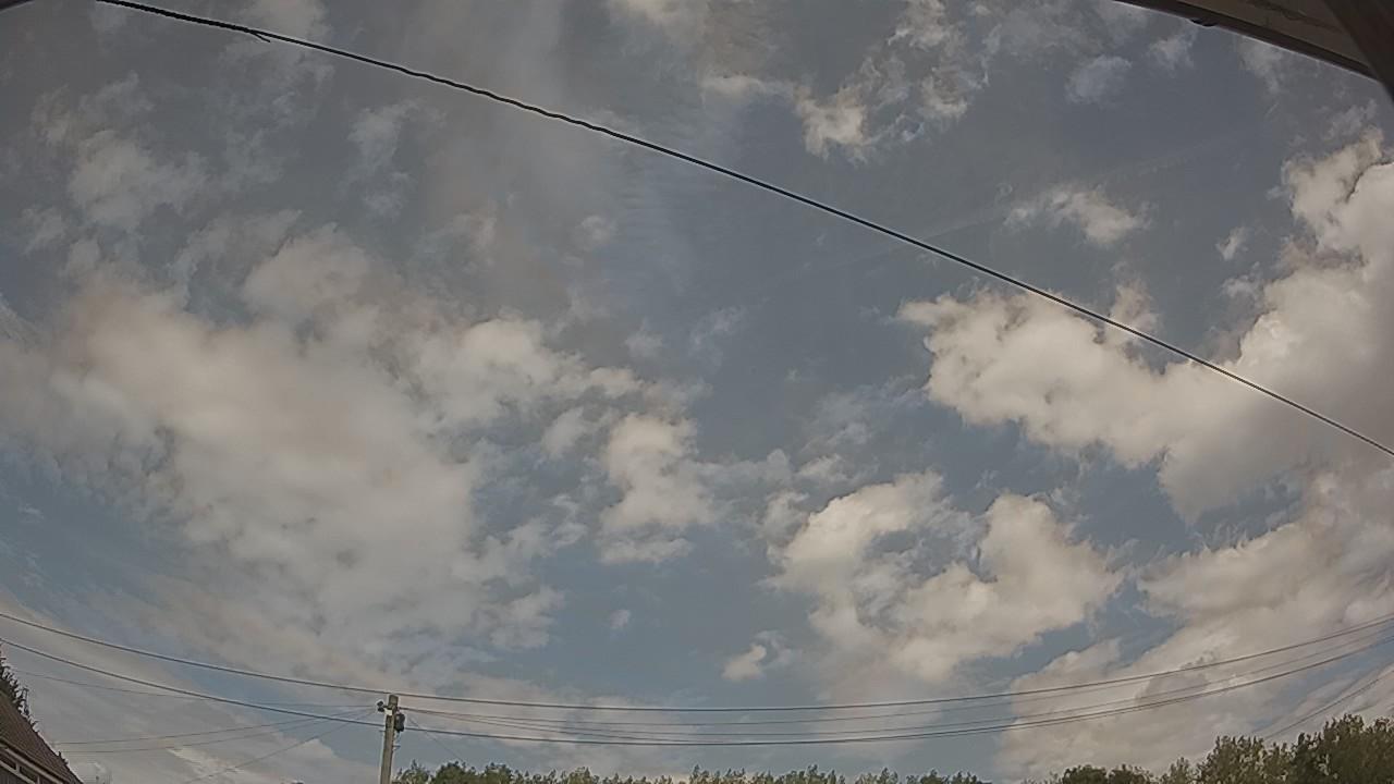 20260809_124420_cam2.jpg