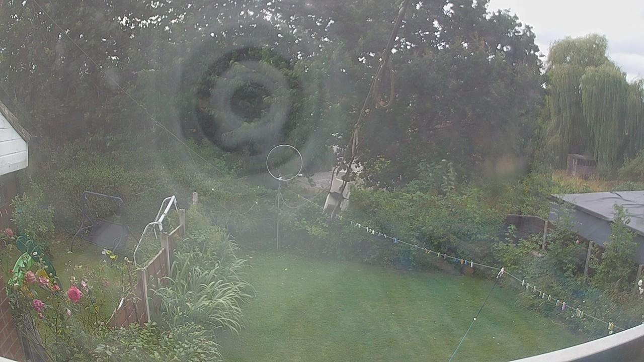 20260809_130220_cam1.jpg