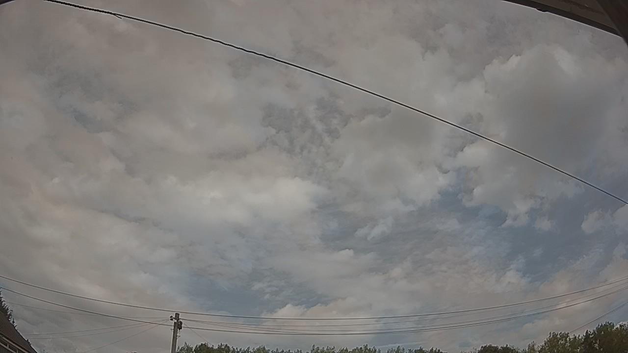 20260809_130221_cam2.jpg