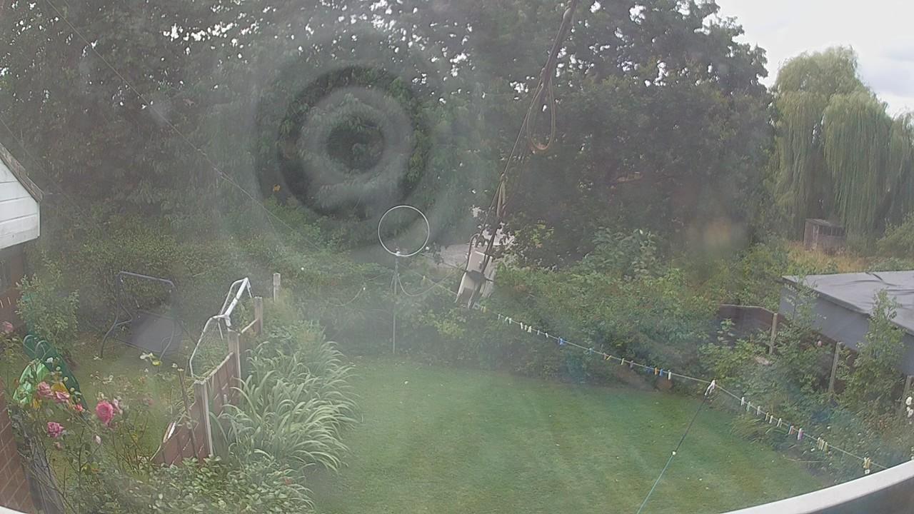 20260809_130603_cam1.jpg