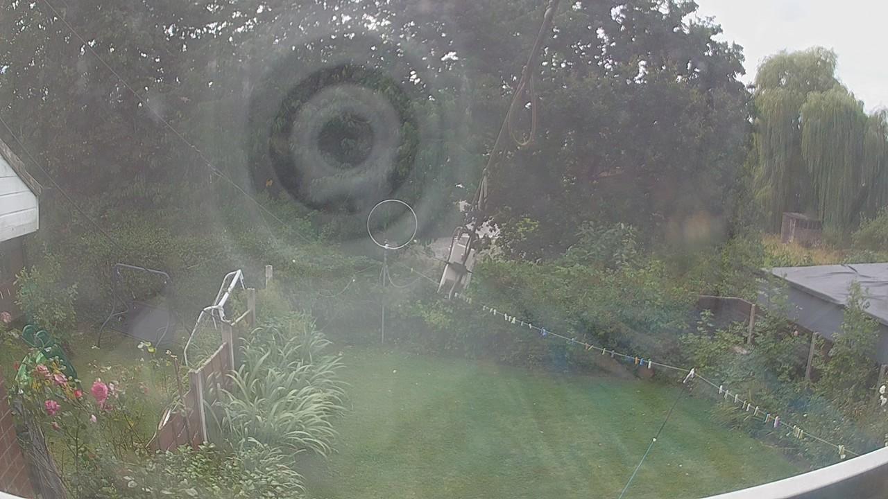 20260809_131327_cam1.jpg