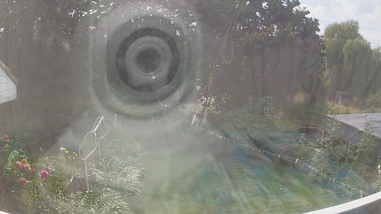 20260809_131709_cam1.jpg