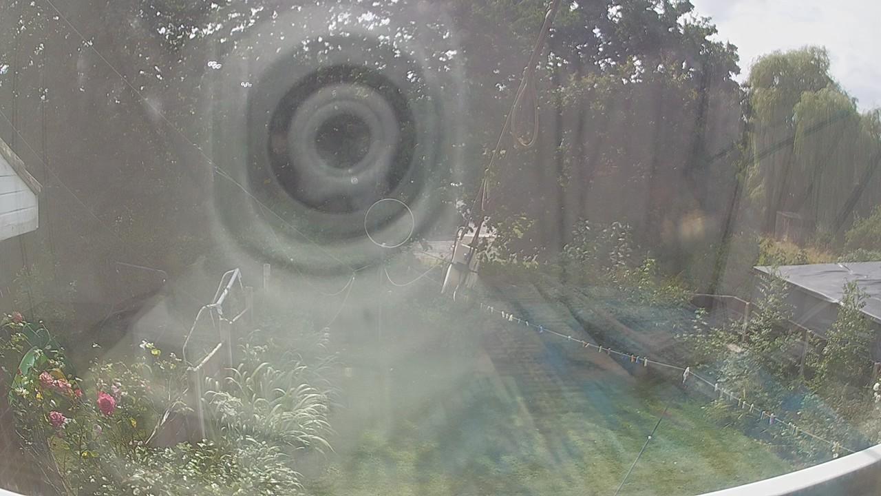 20260809_133121_cam1.jpg