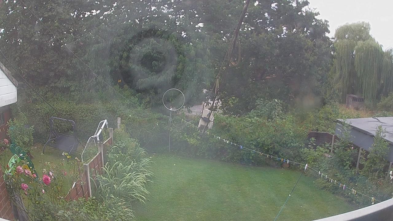 20260809_135147_cam1.jpg