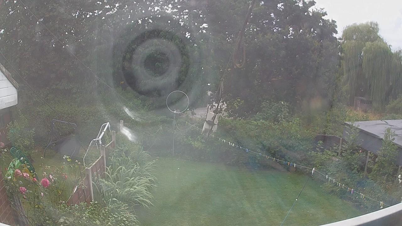 20260809_135818_cam1.jpg