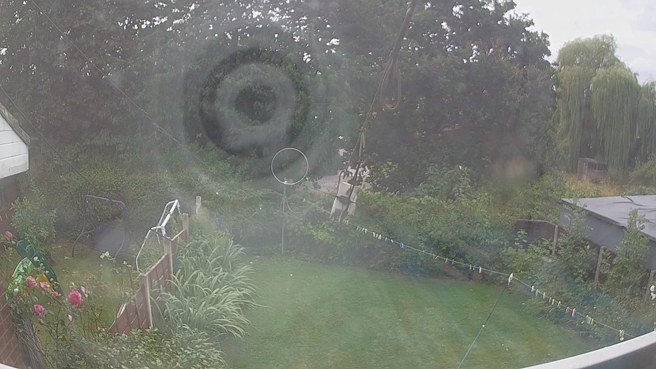 20260809_140124_cam1.jpg