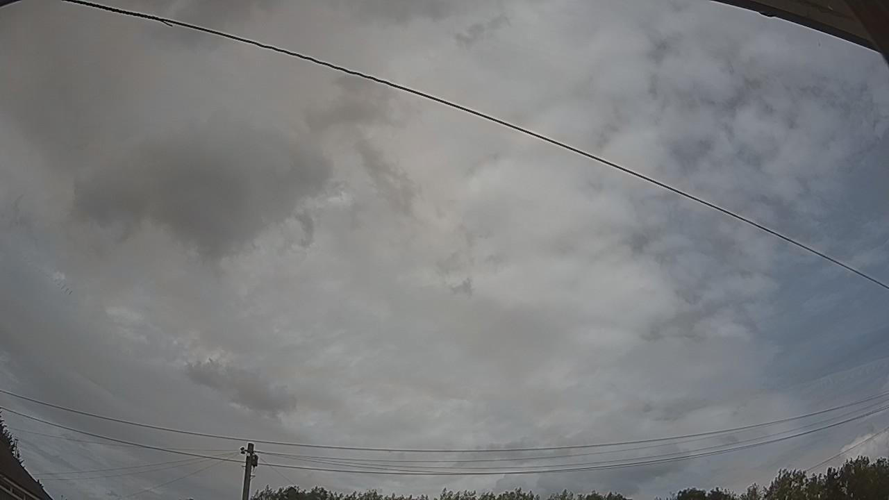 20260809_141350_cam2.jpg