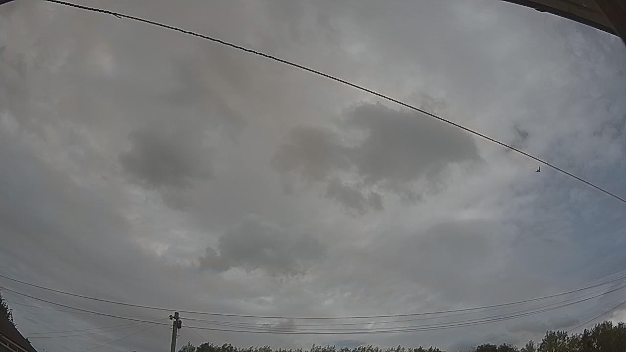 20260809_141656_cam2.jpg