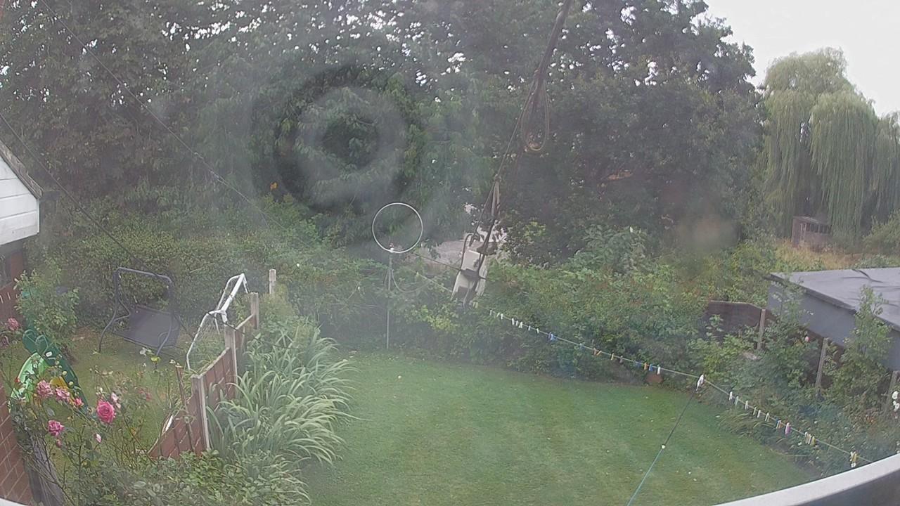 20260809_142002_cam1.jpg