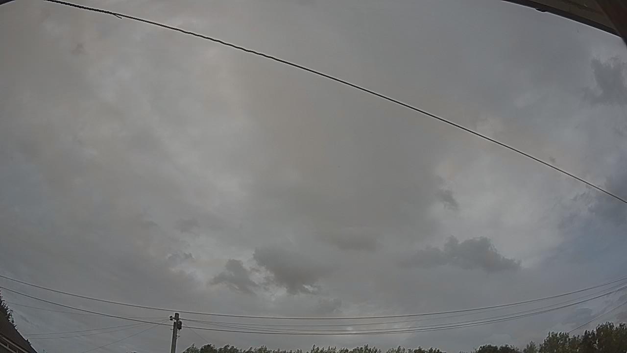 20260809_142003_cam2.jpg