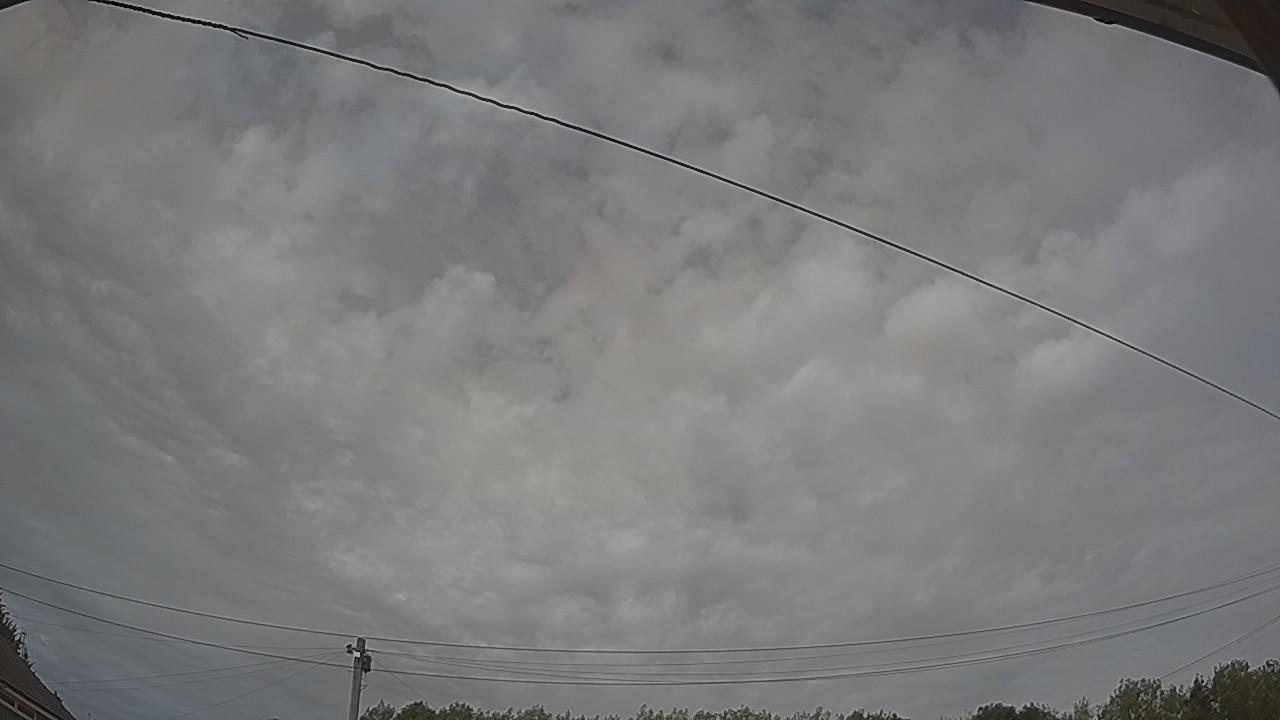 20260809_144900_cam2.jpg