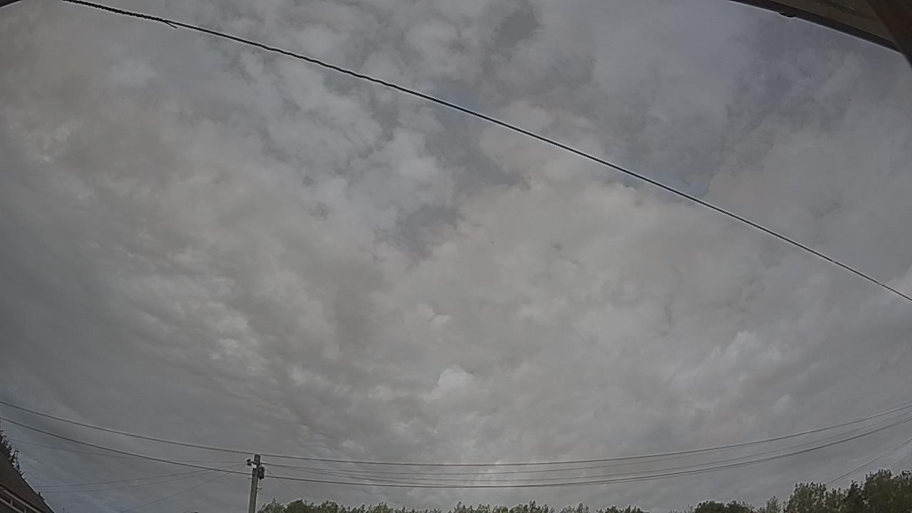 20260809_145215_cam2.jpg