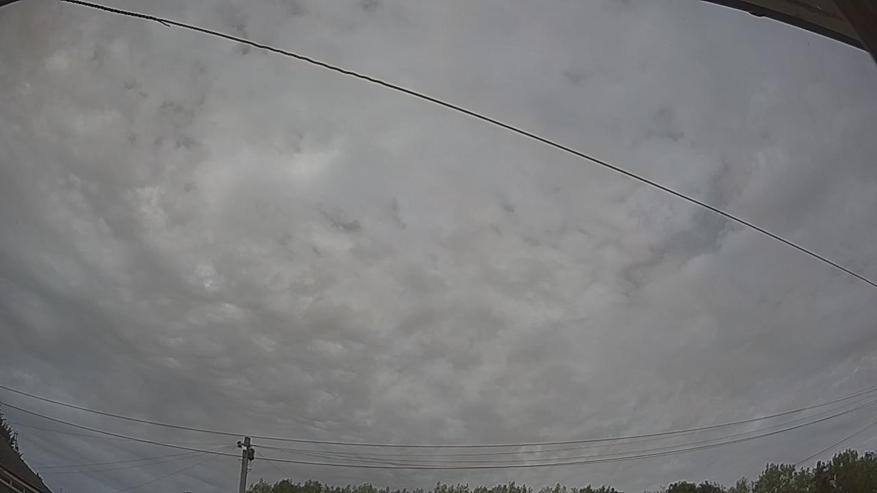 20260809_145530_cam2.jpg