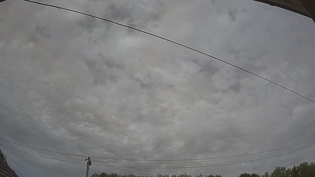 20260809_145903_cam2.jpg