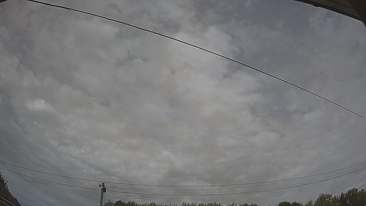 20260809_150236_cam2.jpg