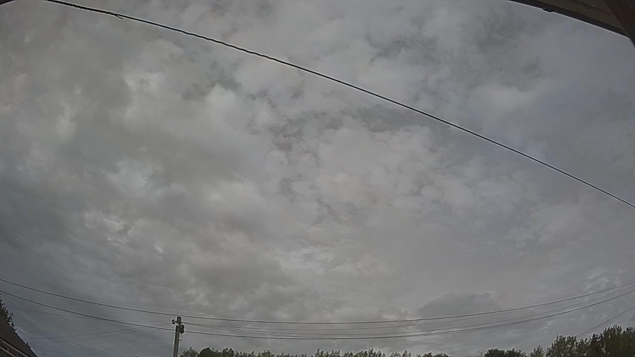 20260809_150942_cam2.jpg