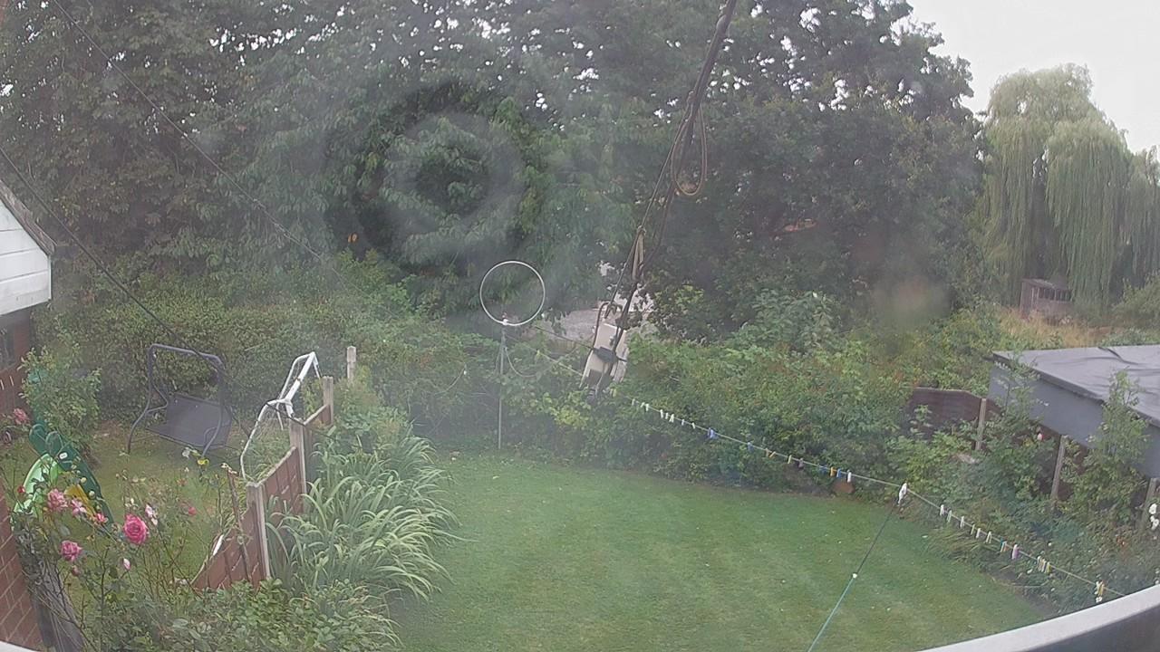 20260809_155218_cam1.jpg