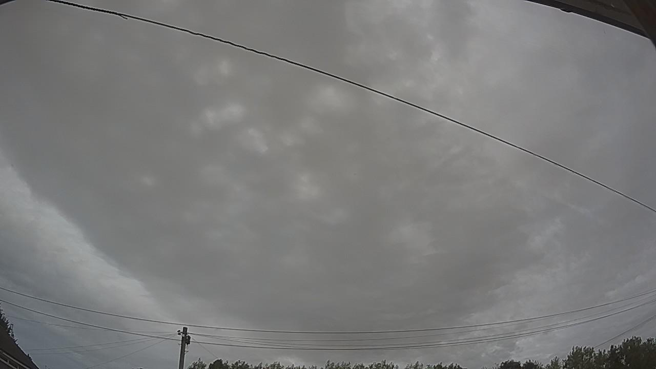 20260809_155552_cam2.jpg