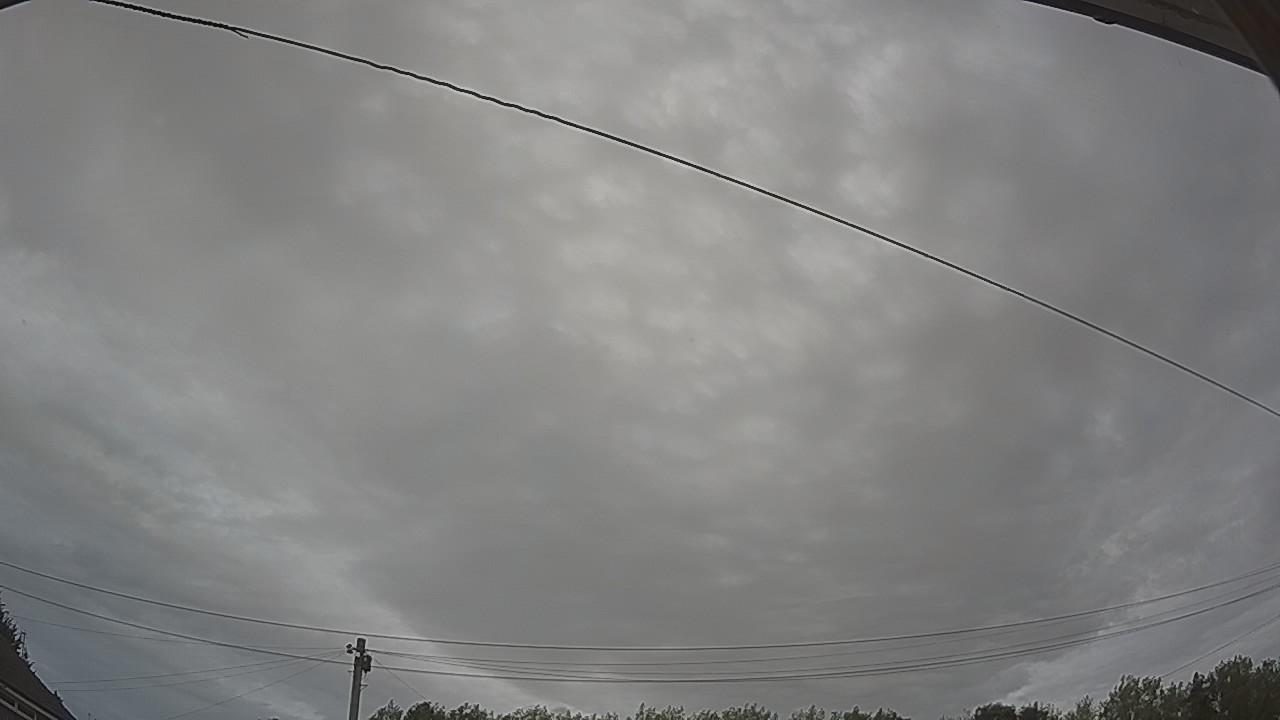 20260809_155935_cam2.jpg