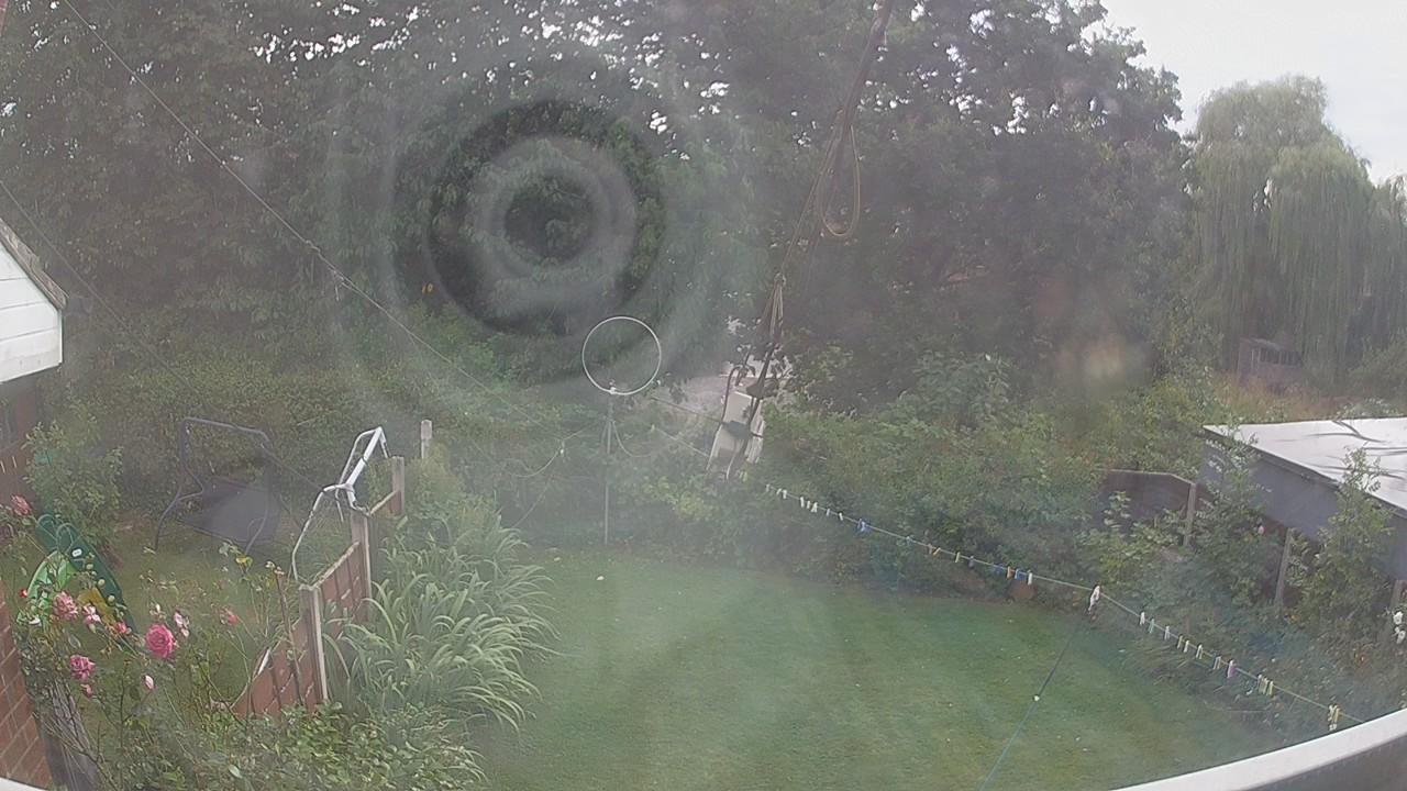 20260809_161423_cam1.jpg