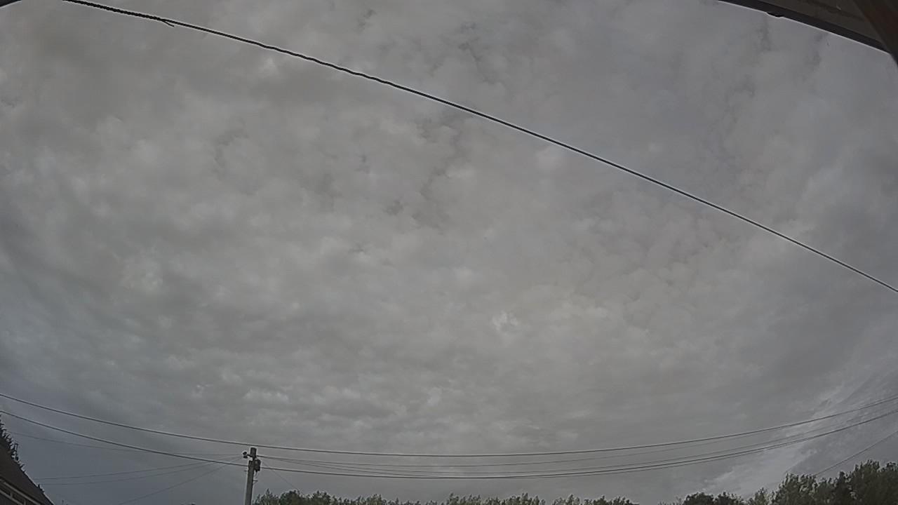 20260809_161424_cam2.jpg