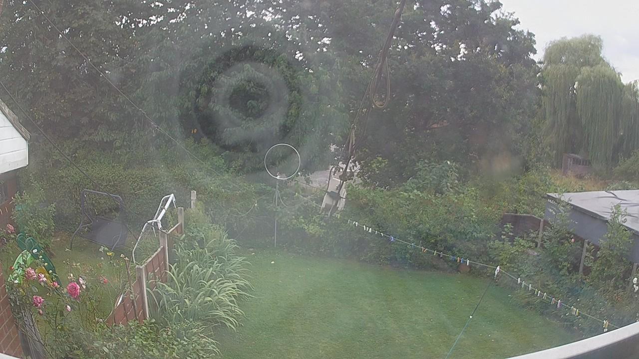 20260809_161806_cam1.jpg