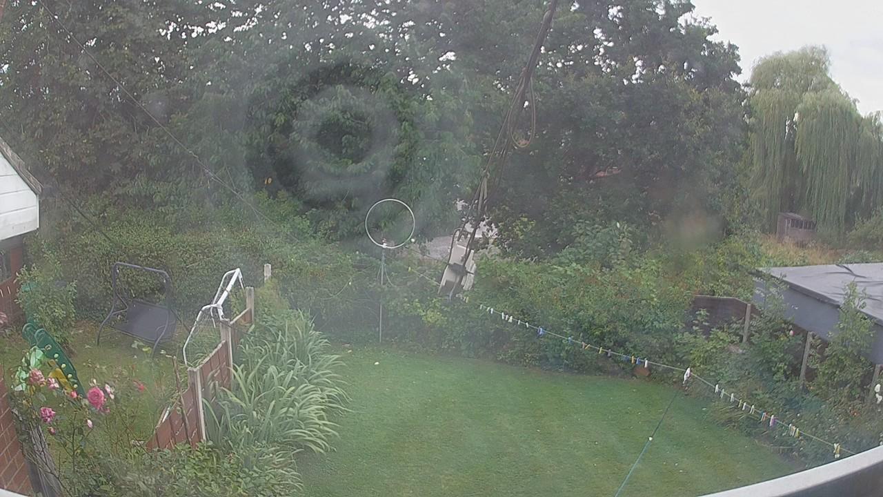 20260809_162148_cam1.jpg
