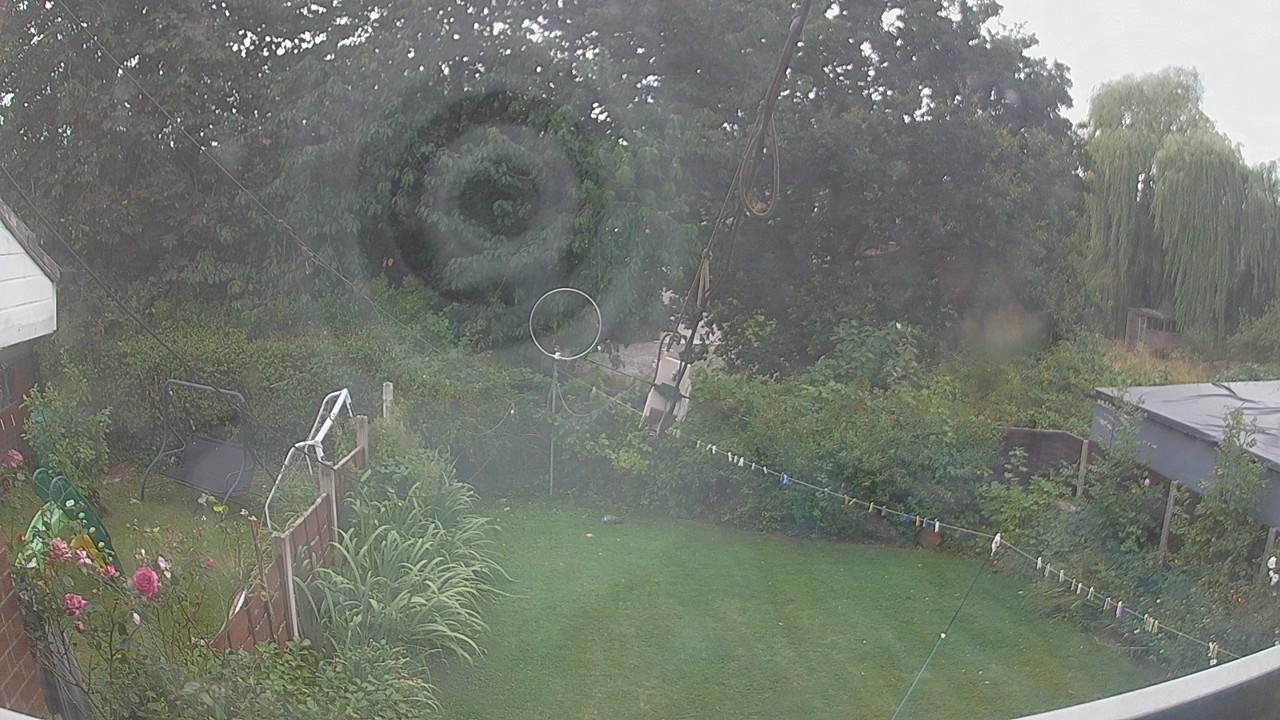 20260809_163542_cam1.jpg