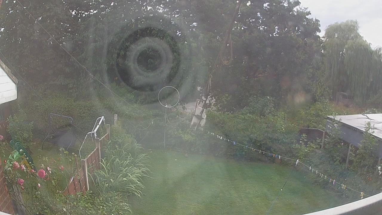 20260809_163906_cam1.jpg