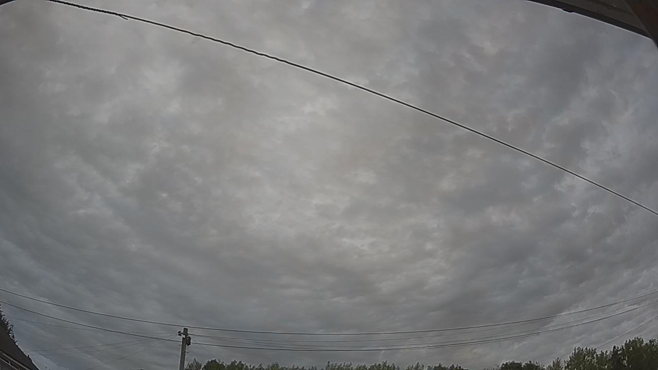 20260809_164231_cam2.jpg