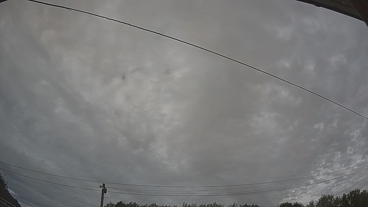 20260809_170313_cam2.jpg