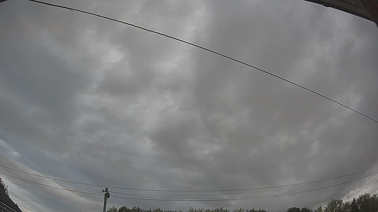 20260809_172429_cam2.jpg