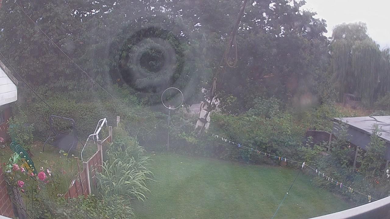 20260809_182052_cam1.jpg