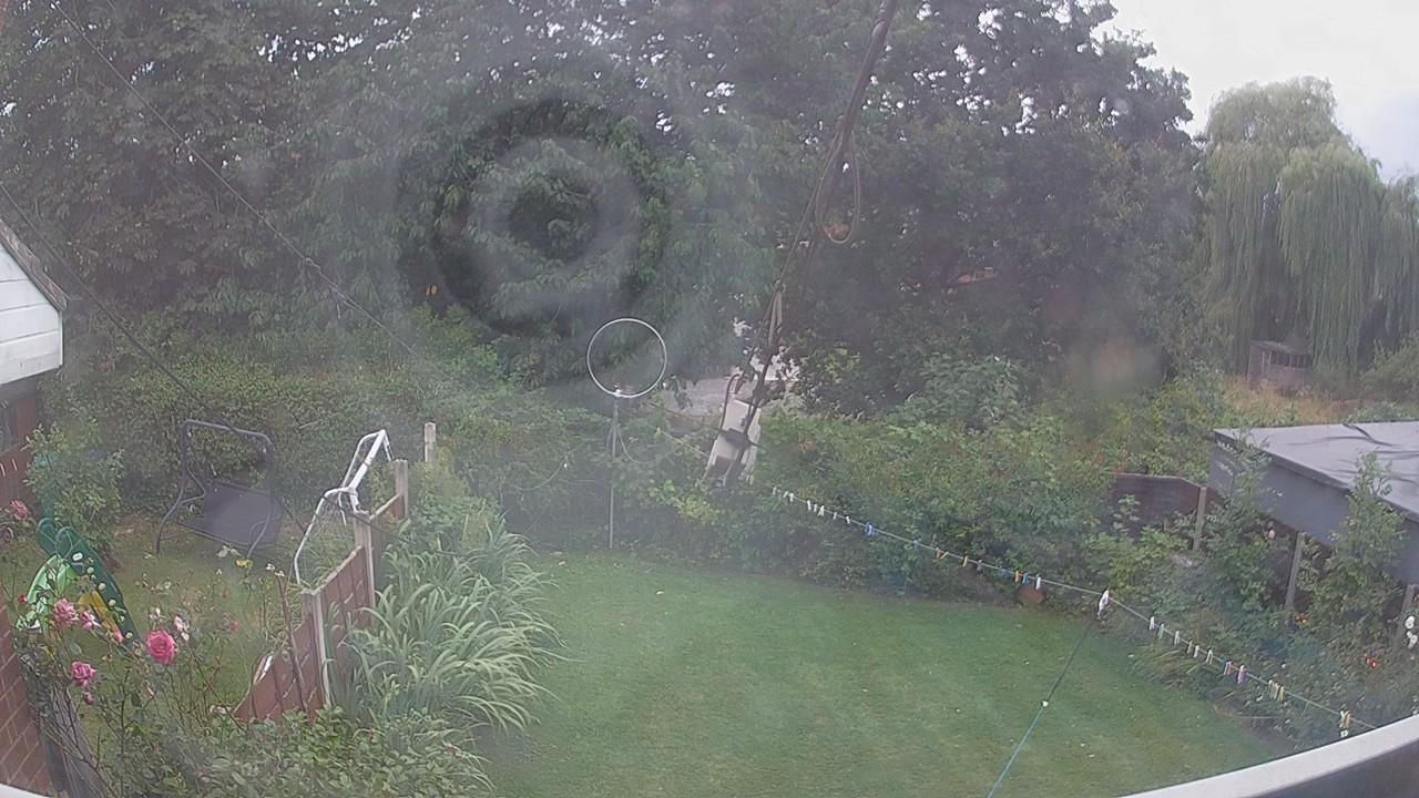20260809_182452_cam1.jpg