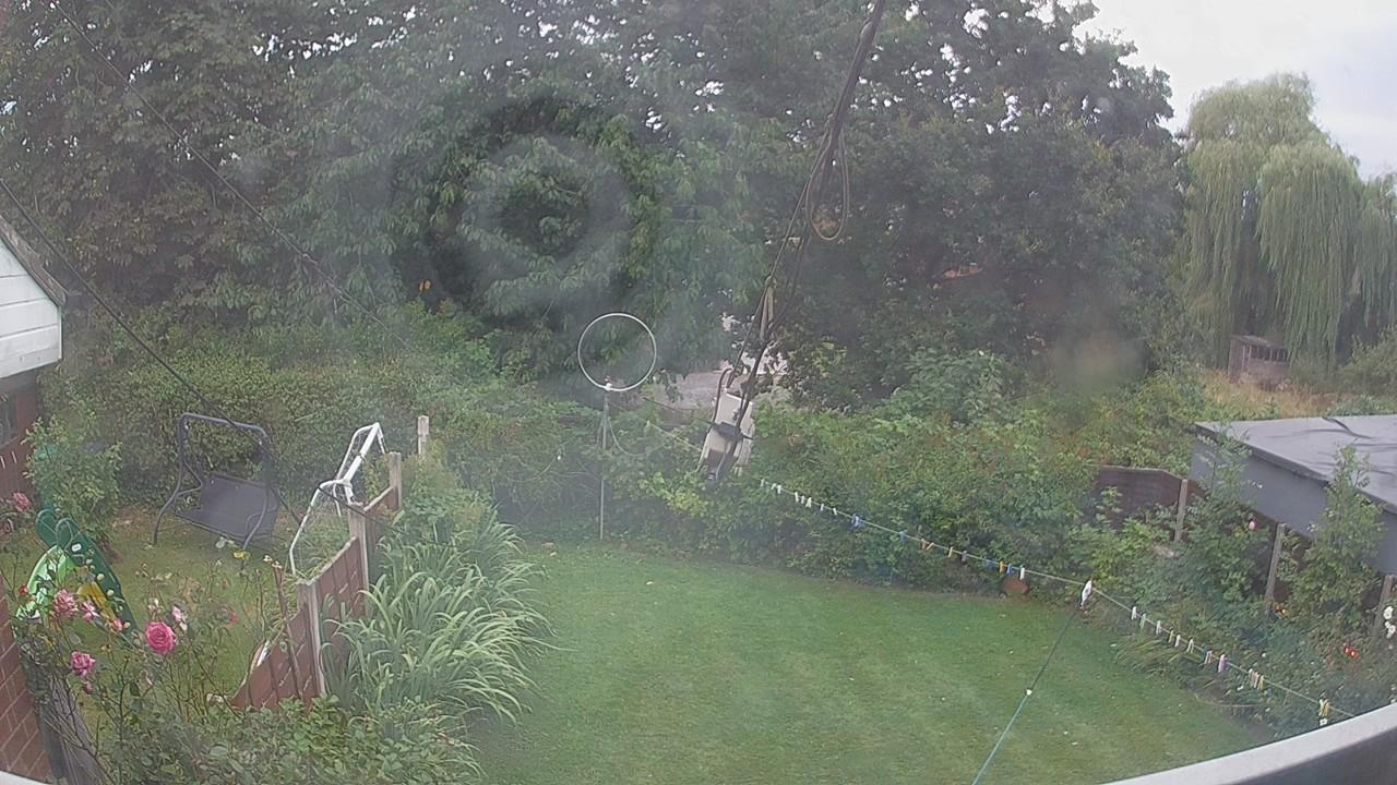 20260809_182834_cam1.jpg