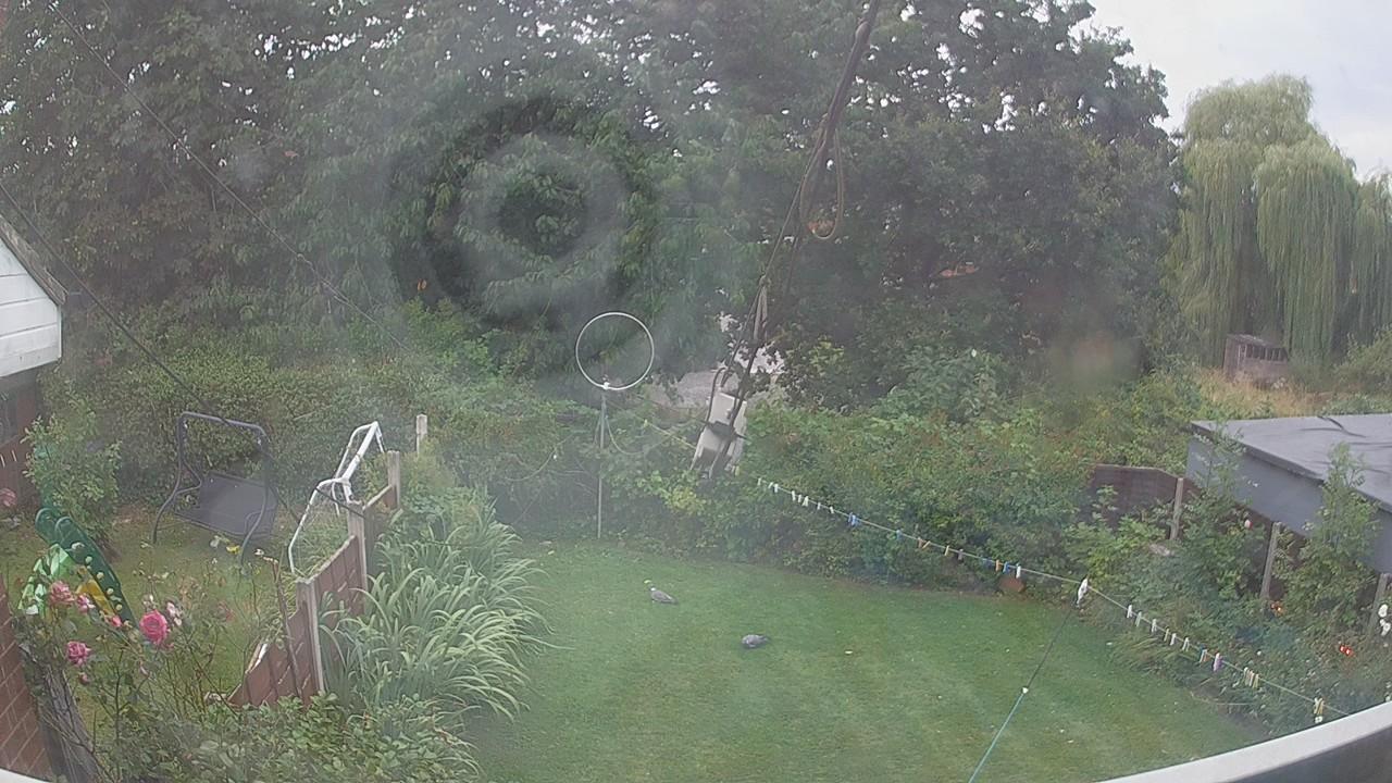 20260809_183216_cam1.jpg