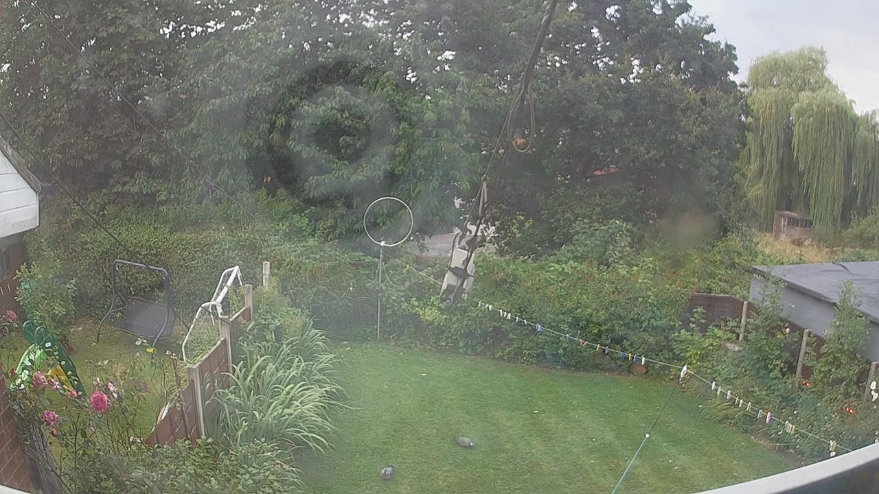 20260809_183559_cam1.jpg