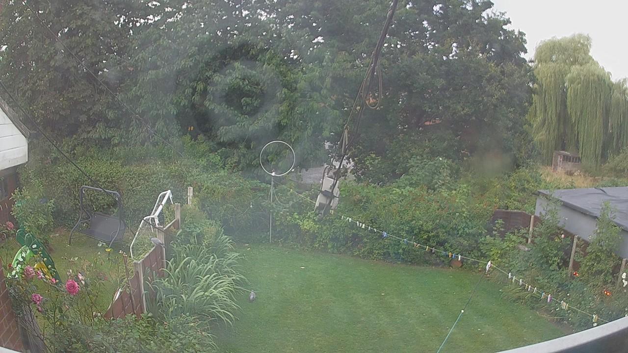 20260809_183941_cam1.jpg