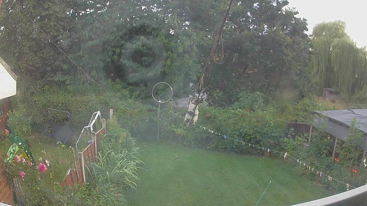20260809_184705_cam1.jpg