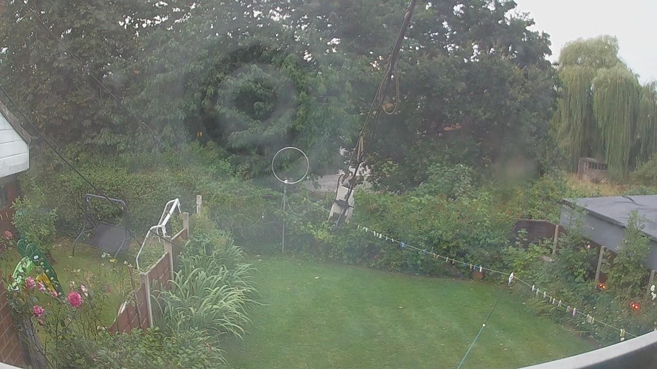 20260809_191346_cam1.jpg