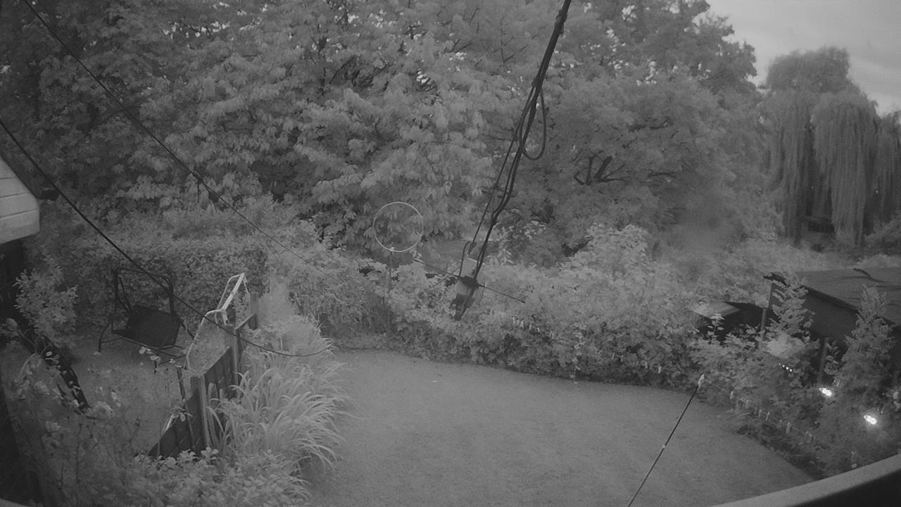 20260809_201355_cam1.jpg